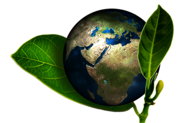 Mooiere wereld
