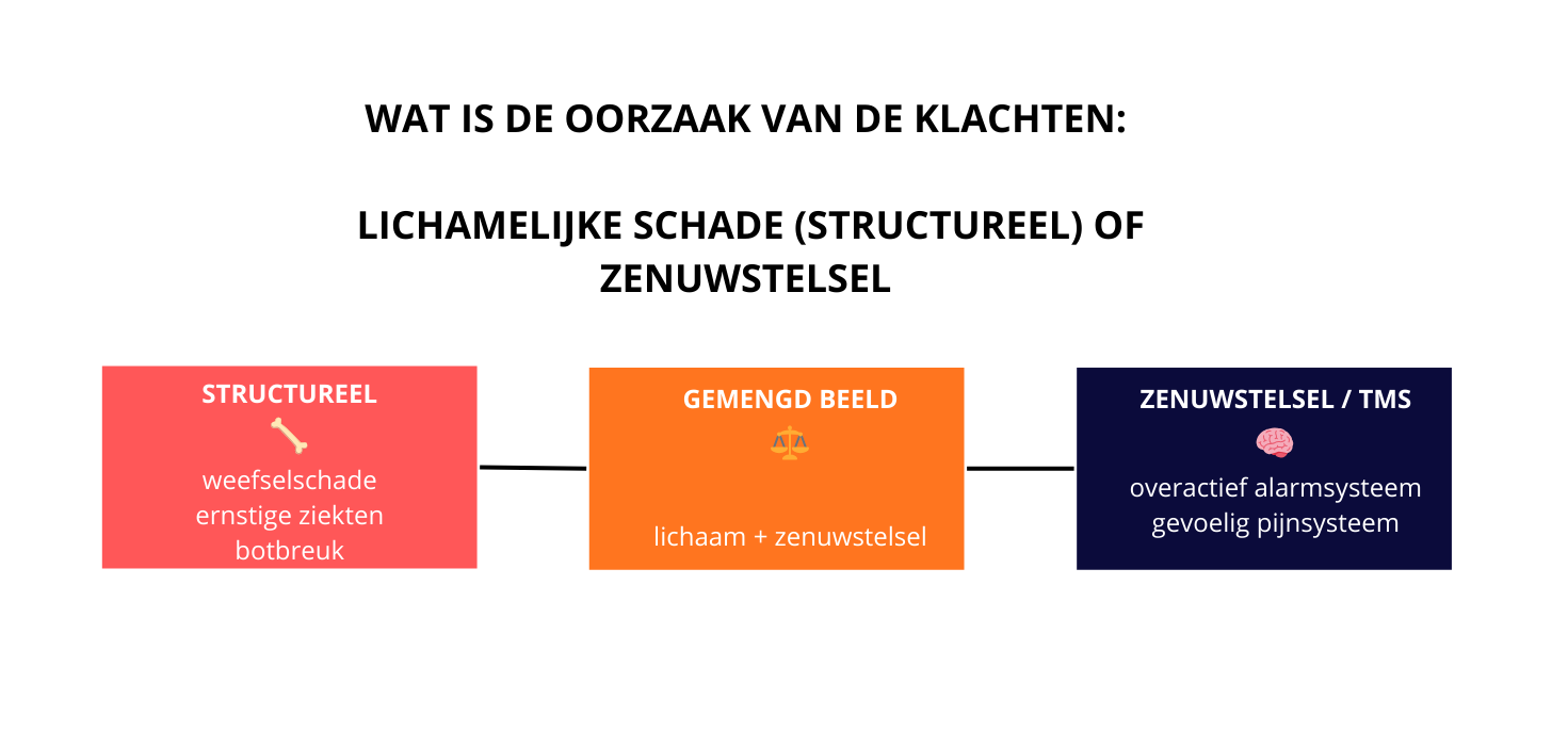 4-visual-structureel-vs-zenuwstelsel