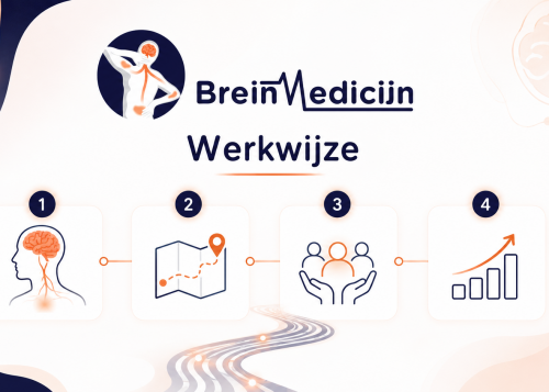 breinmedicijn-werkwijze