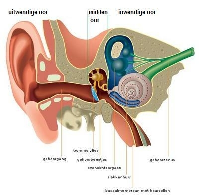 oorsuizen-hoe-ontstaat-het