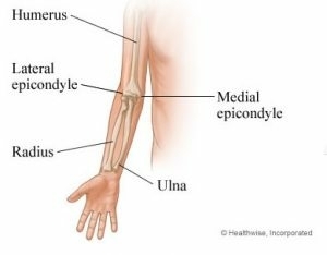 pijn-in-de-bovenarm-anatomie