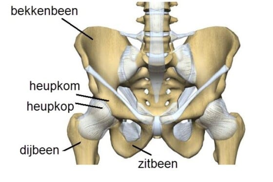 Pijn In De Heup Wat Is De Oorzaak En Hoe Los Je Het Op