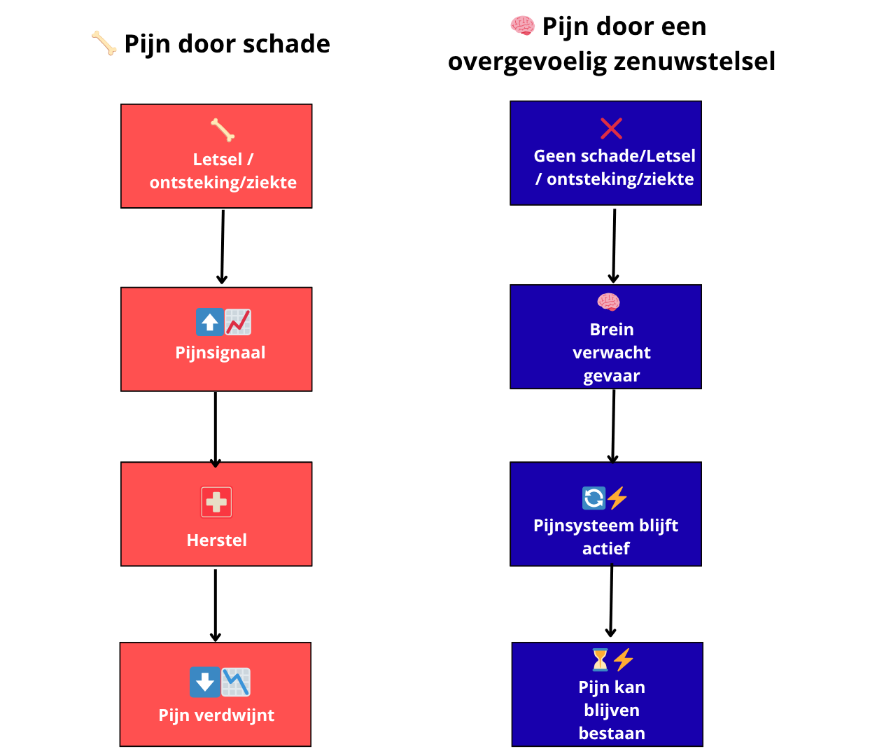 visual-waarom-pijn-kan-blijven-bestaan-zonder-schade