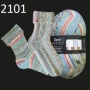 Opal 4-draads sokkenwol Hundertwasser 2101 Autobus-Fenster
