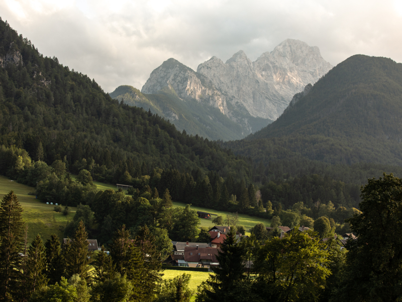 omgeving Radovljica Slovenië bergen bossen vallei
