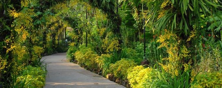 National Geographic / De tien 'meest spectaculaire tuinen' ter wereld - CGconcept.be