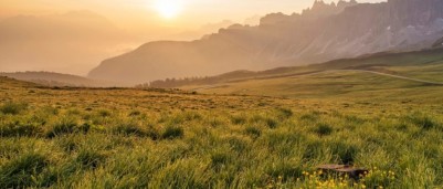 Biophilic audio design: een akoestische evolutie in de kantoortuin