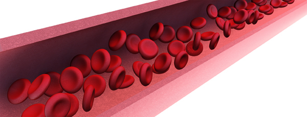 Rode bloedcellen en het Bohr-effect