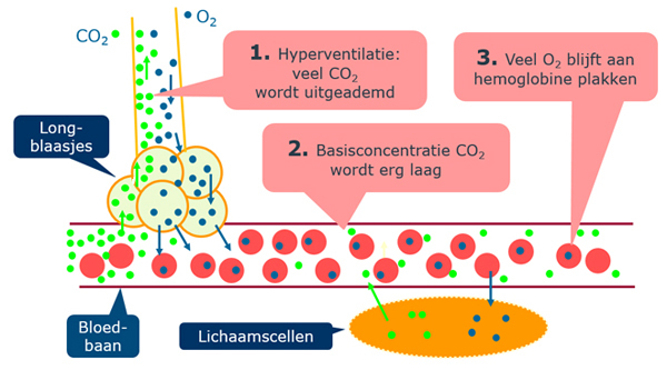 Bohr-effect en hypoxia