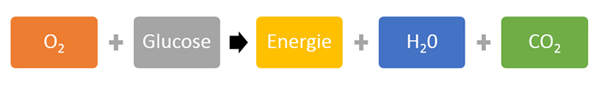 De celverbranding