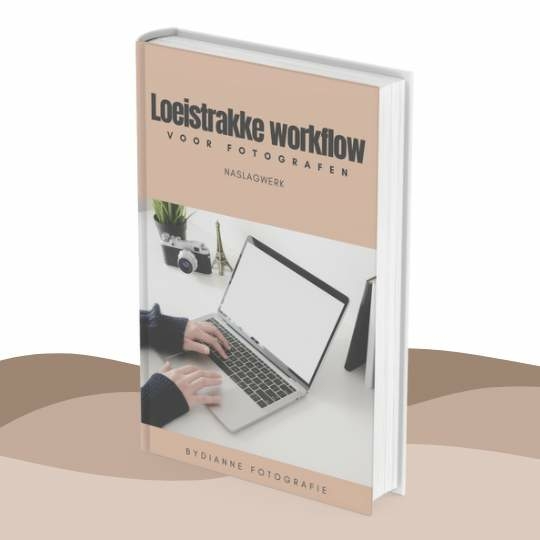 Cursusomgeving Loei-strakke workflow ByDianne Academy