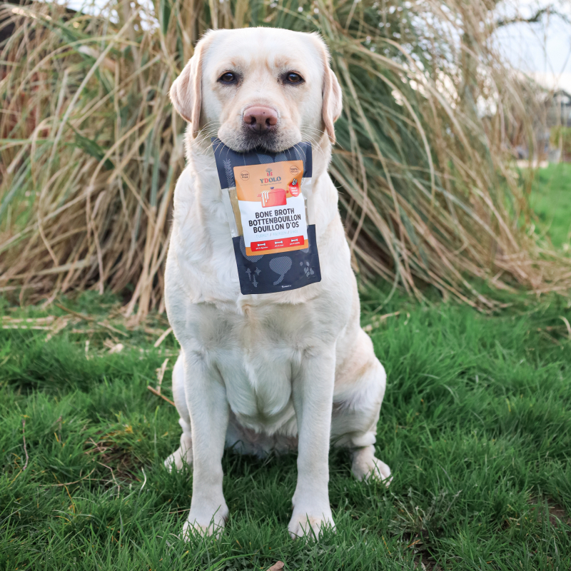 Marley met bottenbouillon kalkoen van Ydolo