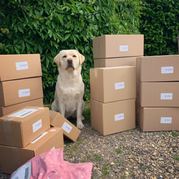 cadeautjes voor honden