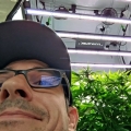 cannabis grower in front of his growtent
