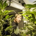 cannabis grower behind is plant in his grow room