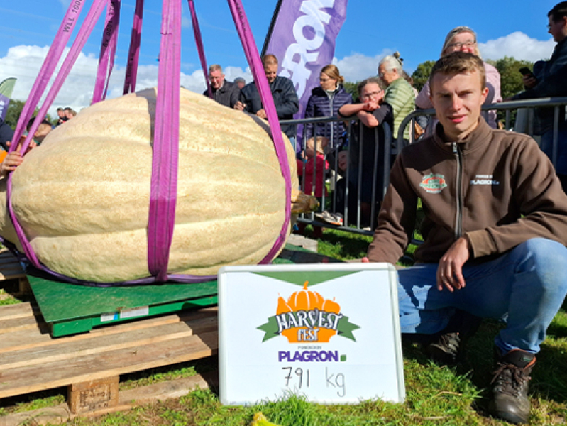 Dutch Giant Pumpkin growers showing his pumpkin and the final weight of 791 KG