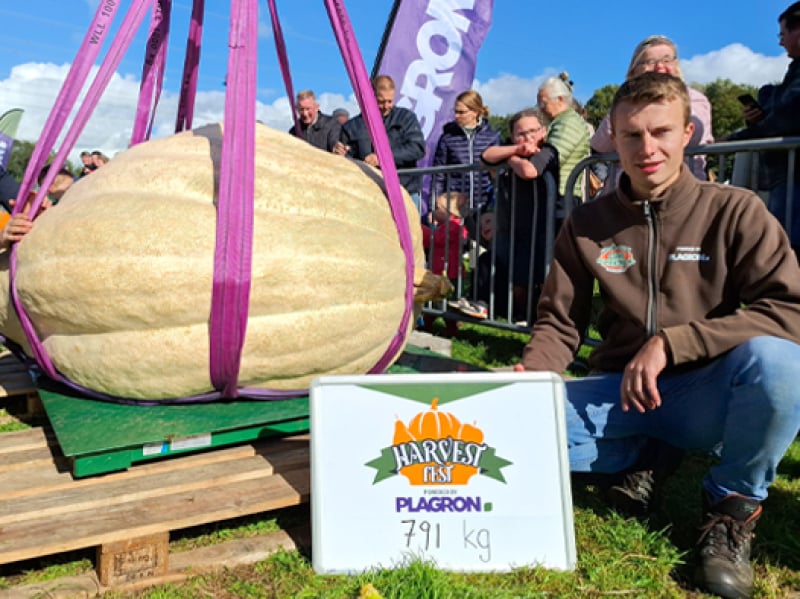 Dutch Giant Pumpkin growers showing his pumpkin and the final weight of 791 KG