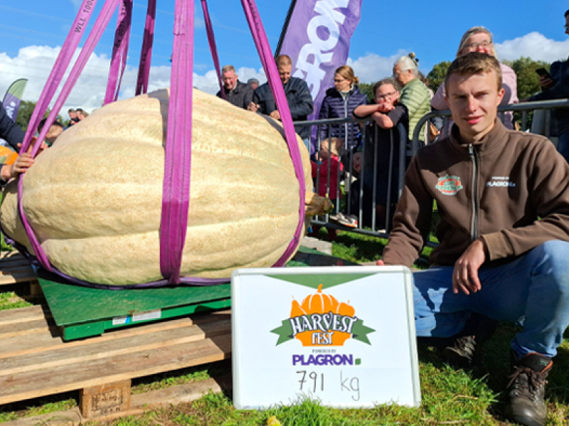 Dutch Giant Pumpkin growers showing his pumpkin and the final weight of 791 KG