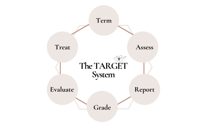 The 6-TARGET Step Adverse Event Blueprint