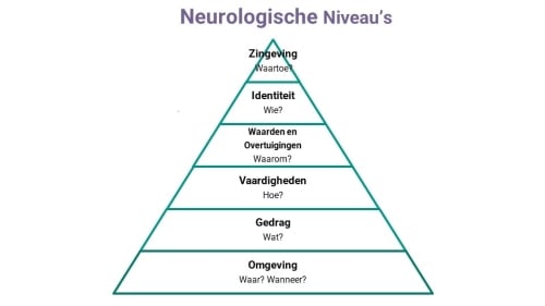 probleem-oplossing-verandering