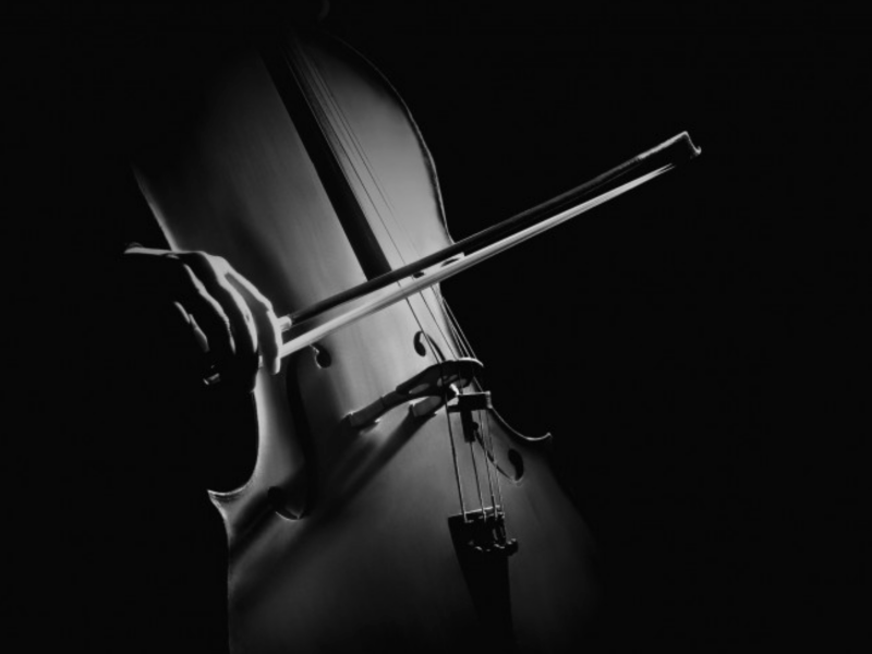 petri arts hans petri cello