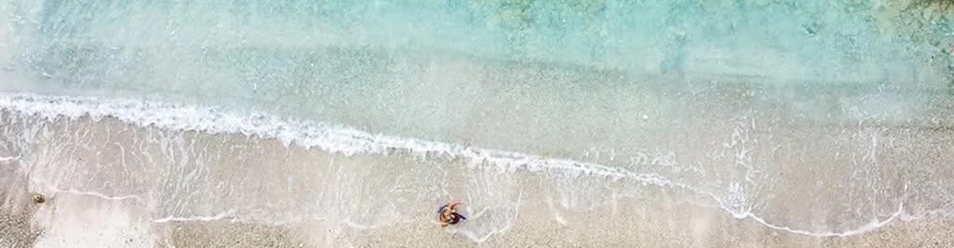 Beach La Palapa
