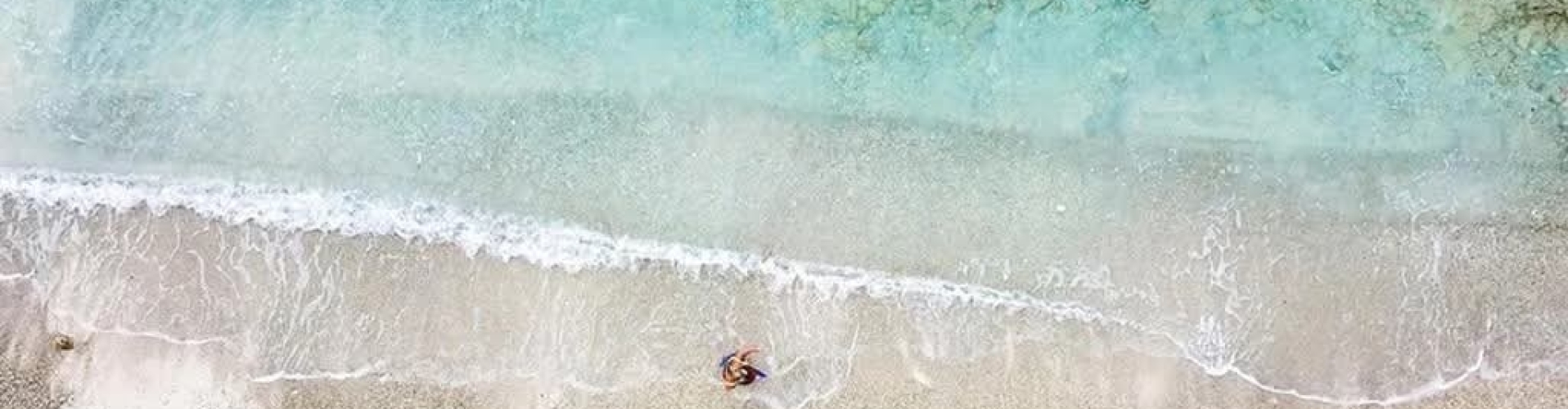 Beach La Palapa