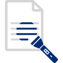 Caseware IDEA Interne Audit