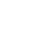 Caseware IDEA review