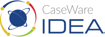 caseware idea software