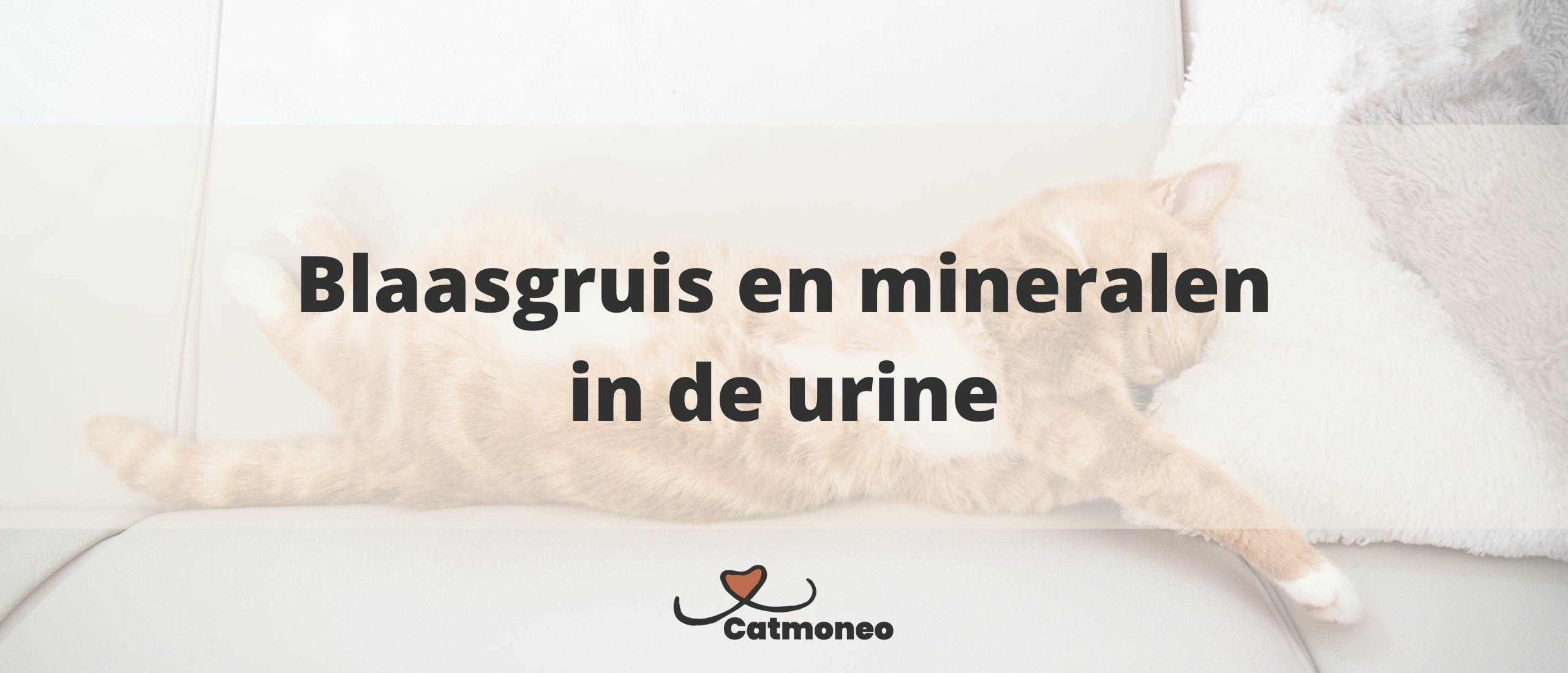 Blaasgruis en mineralen in de urine