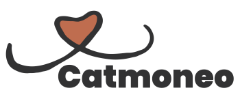 catmoneo gezonde kattenvoeding