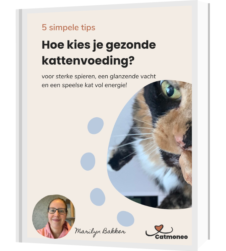 Catmoneo Katten Voedingsgids