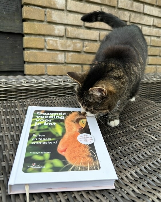 kat Floortje verkent het boek (Christa)