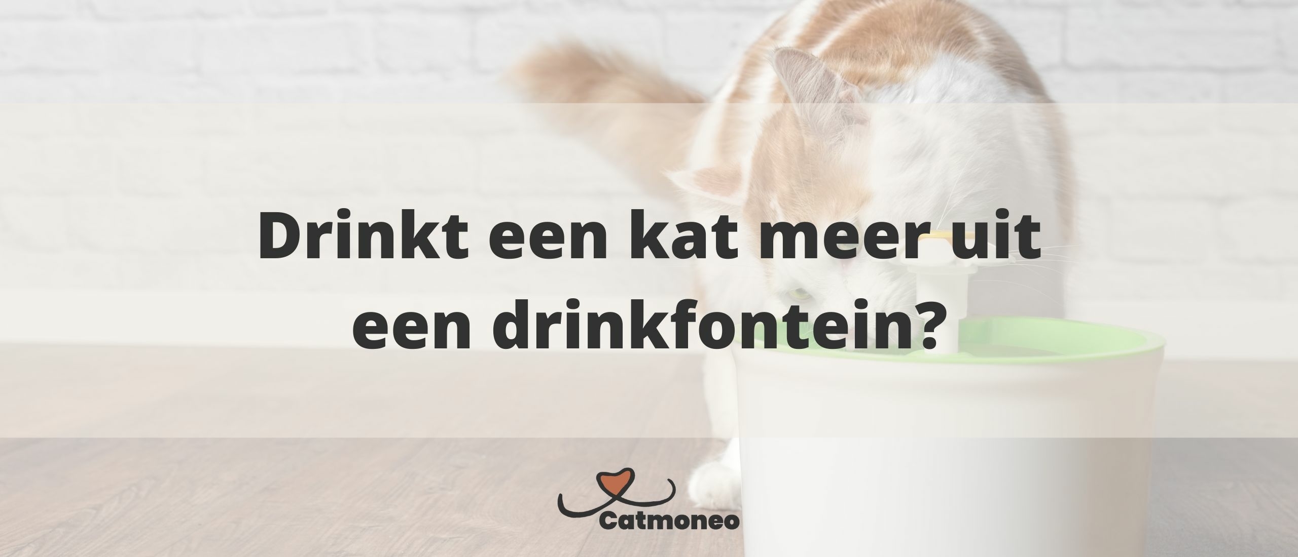Drinken katten meer uit een waterfontein?