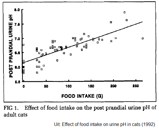 Effect van maaltijd grootte op de urine pH waarde van katten en het ontstaan van struviet en blaasgruis