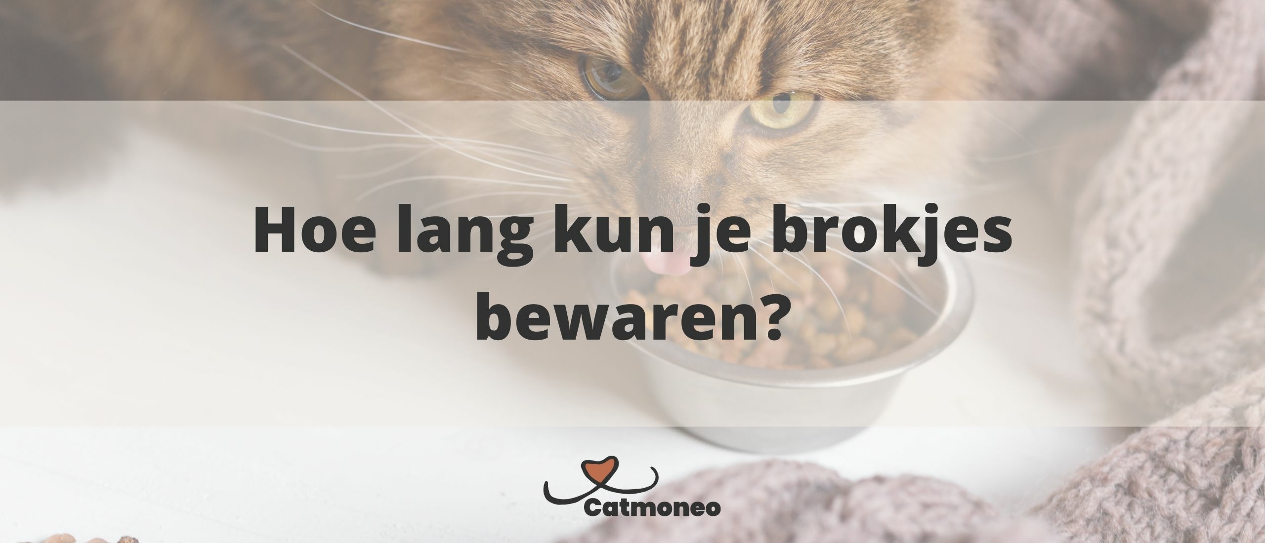 Houdbaarheid van kattenbrokken: Hoe lang kun je brokjes bewaren?