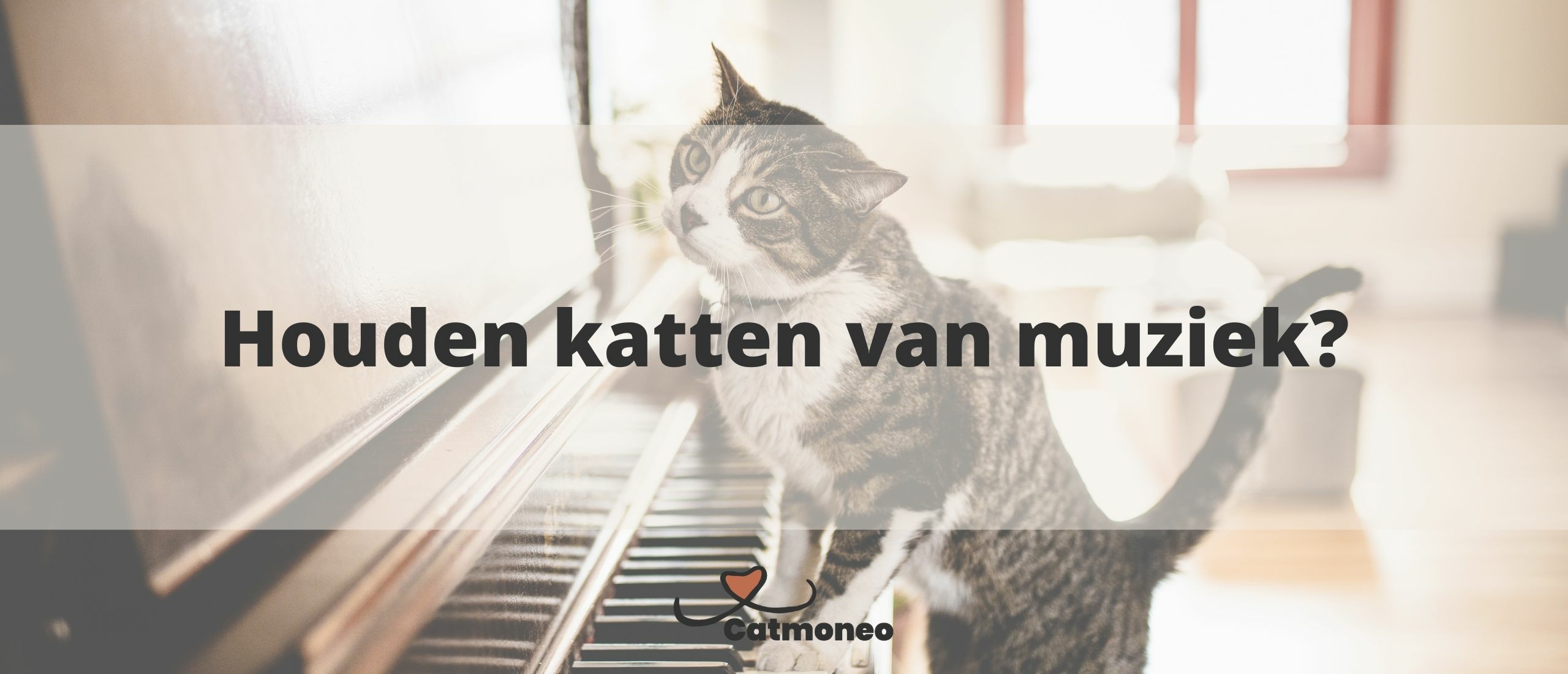 Houden katten van muziek?