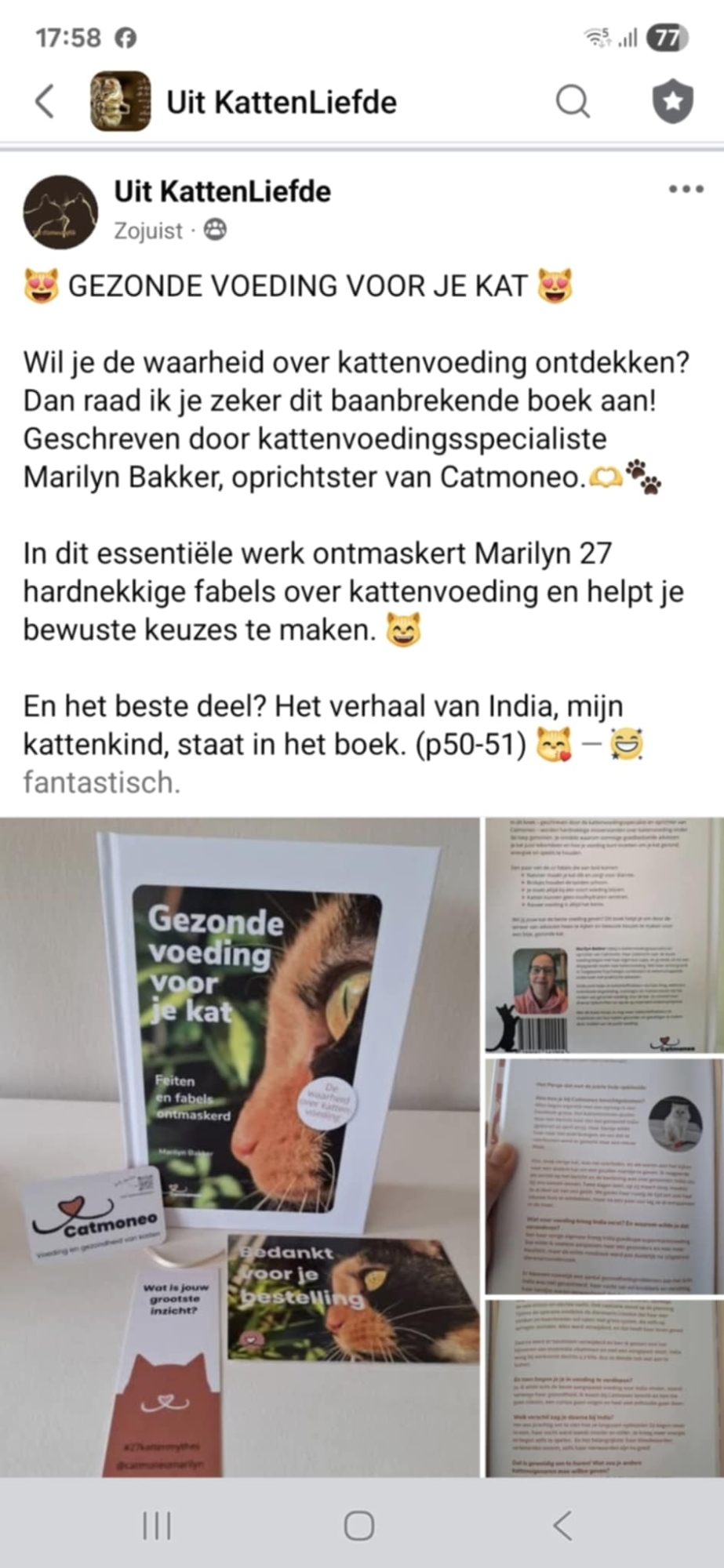 Inge Van Colenberghe (Uit Kattenliefde)