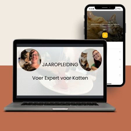 Jaaropleiding VoerExpert voor Katten