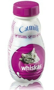 Kattenmelk Cat milk