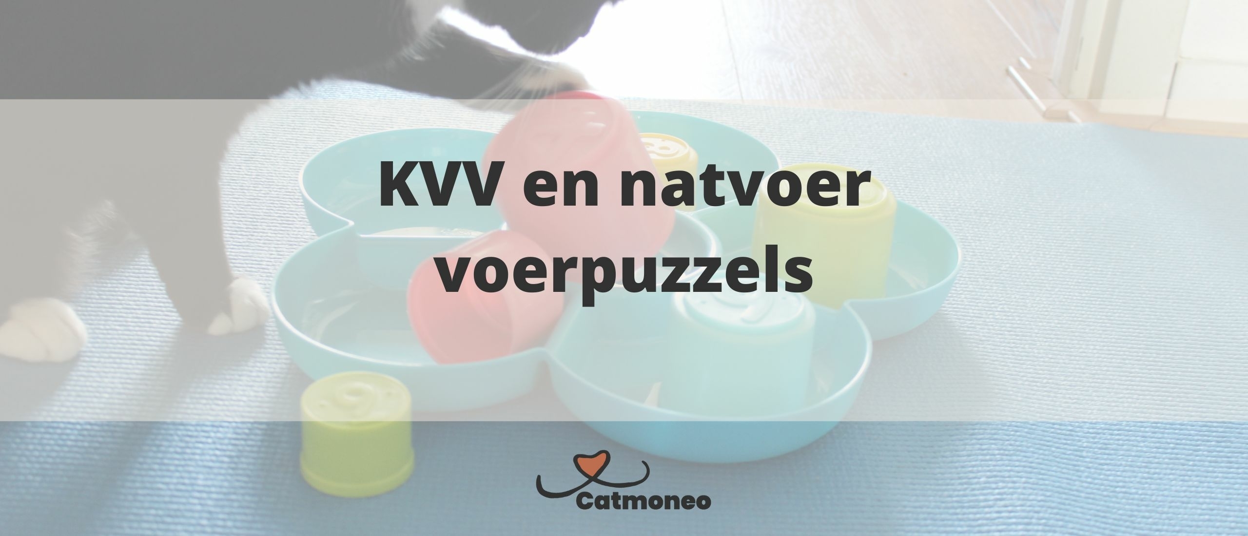 KVV en natvoer voerpuzzels voor katten