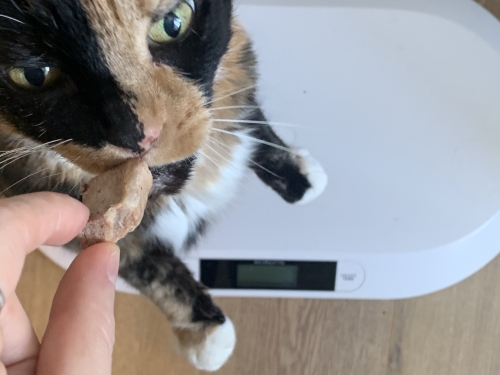 Lapje met snoepje