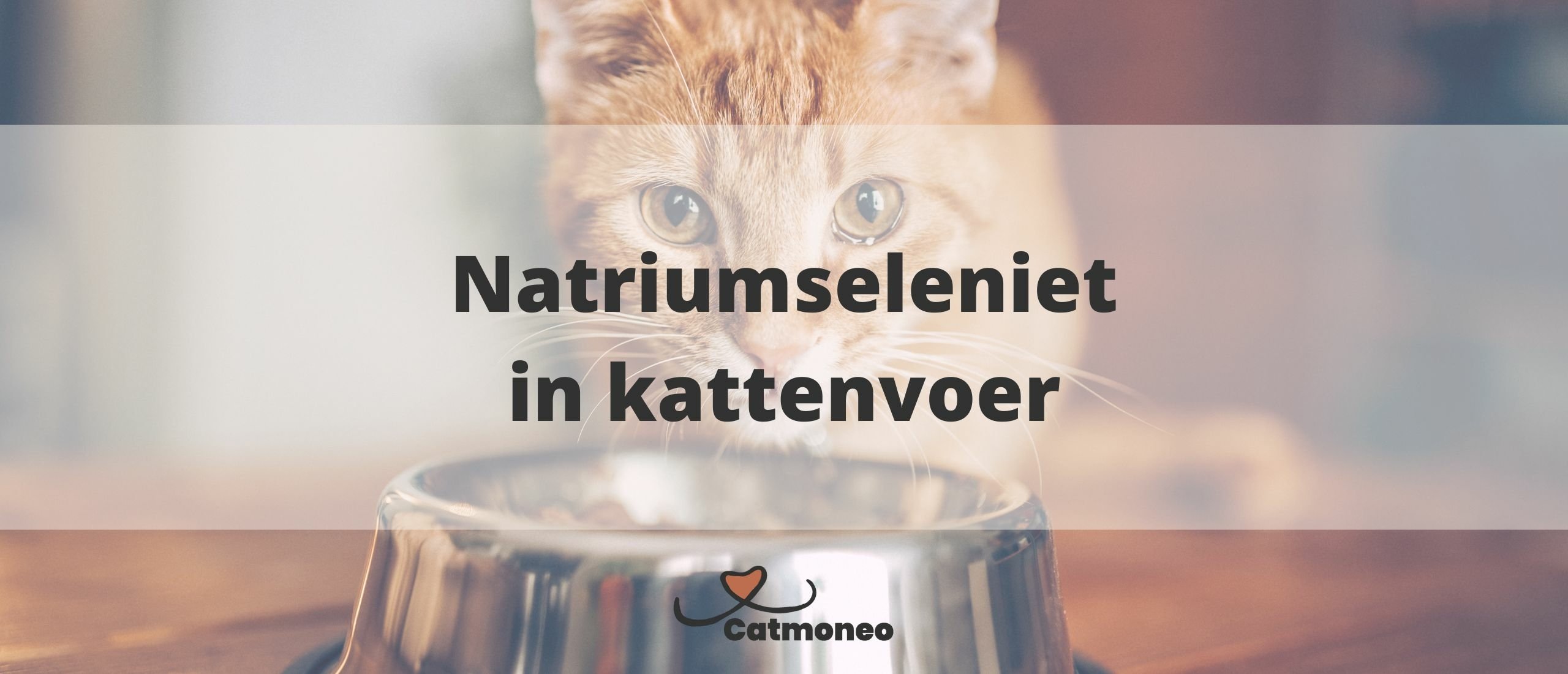 Natriumseleniet in kattenvoer: Gevaarlijk of niet?