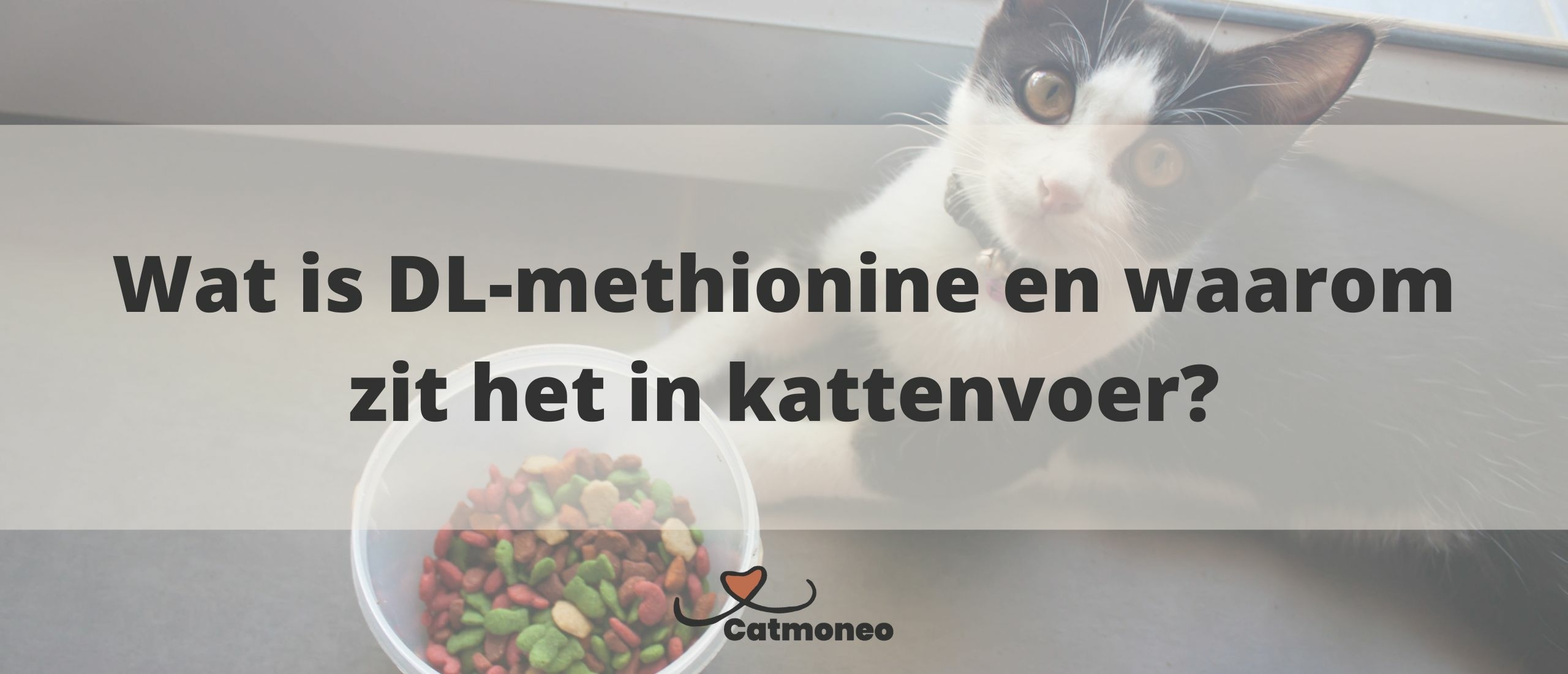 DL-methionine in kattenvoer: Gevaarlijk of niet, en bij welke hoeveelheden?