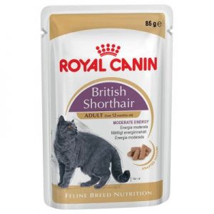 Royal Canin Britse Korthaar Natvoer