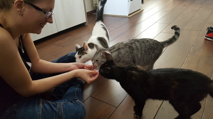 Smartie (wit), Pipi (tijger), Droppie (zwart)