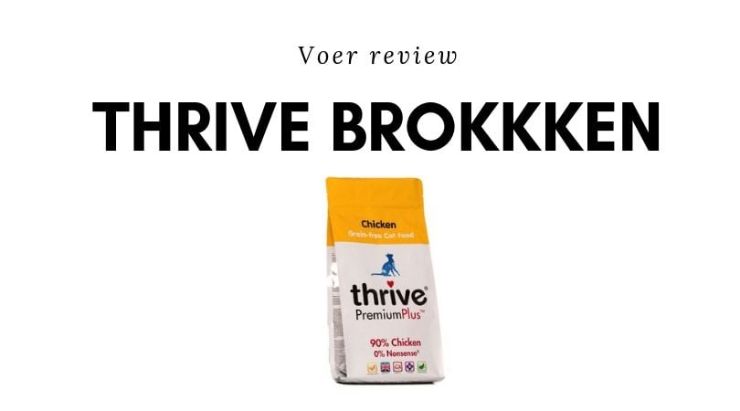 Thrive brok Review