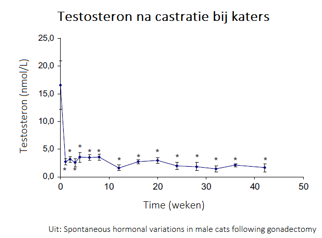 Testosteron na castratie van katers
