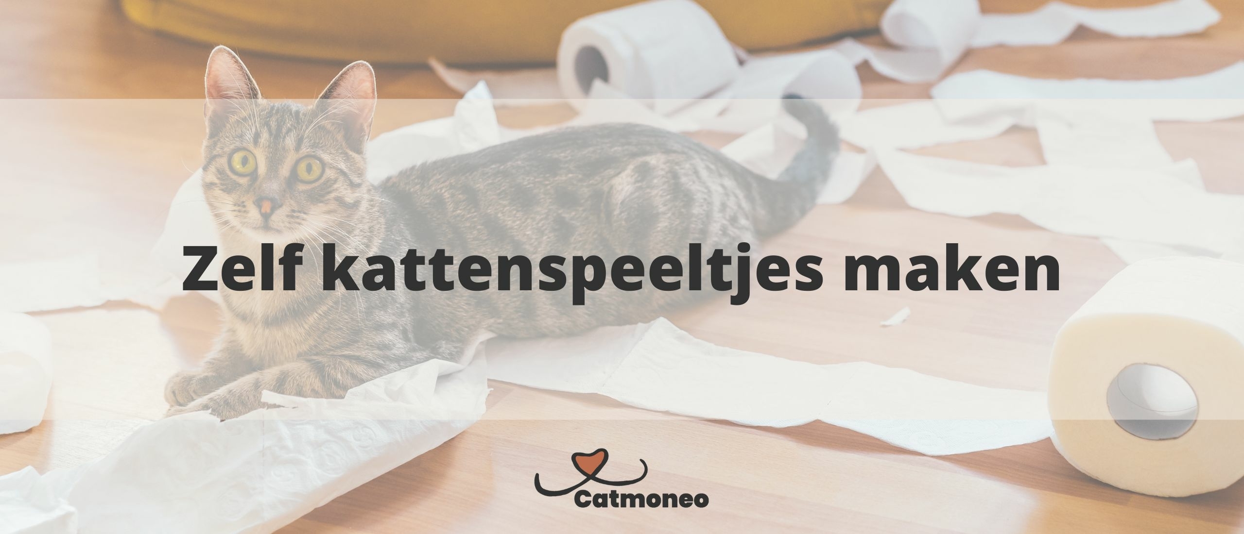 Zelf kattenspeeltjes maken